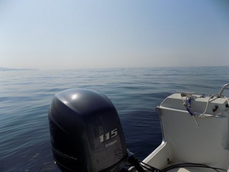 フィッシングボート空風(そらかぜ) 釣果