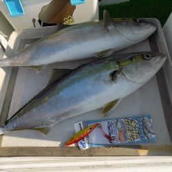 フィッシングボート空風(そらかぜ) 釣果