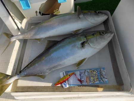 フィッシングボート空風（そらかぜ） 釣果