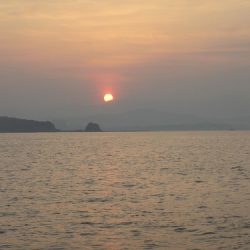 フィッシングボート空風（そらかぜ） 釣果