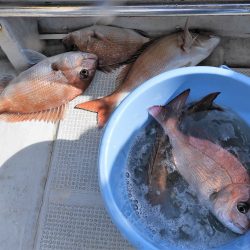 Fisherman Dreams DI 釣果