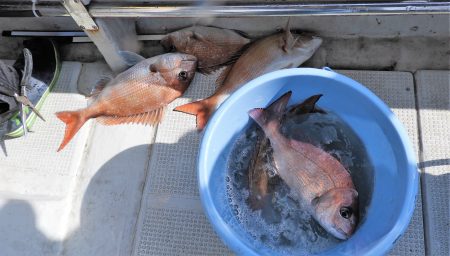 Fisherman Dreams DI 釣…