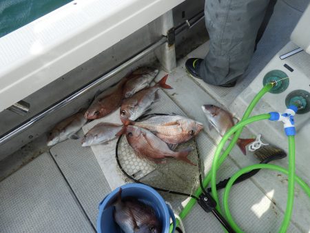 Fisherman Dreams DI 釣果