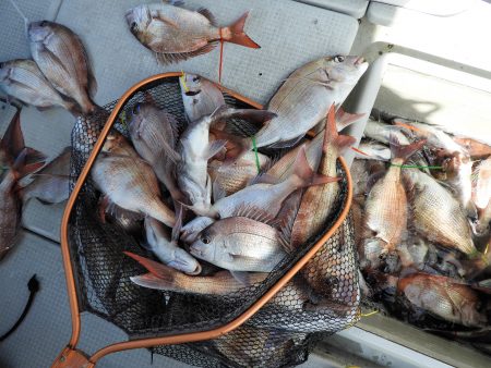 Fisherman Dreams DI 釣果