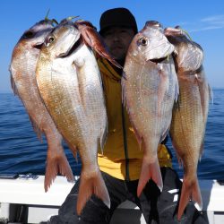 Fisherman Dreams DI 釣果