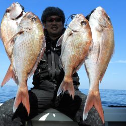 Fisherman Dreams DI 釣果