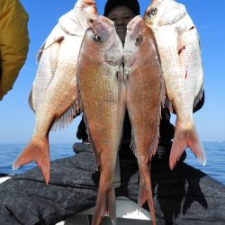 Fisherman Dreams DI 釣果