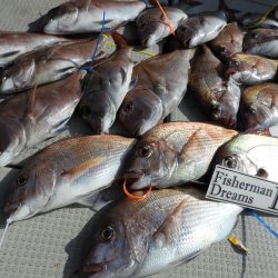 Fisherman Dreams DI 釣果