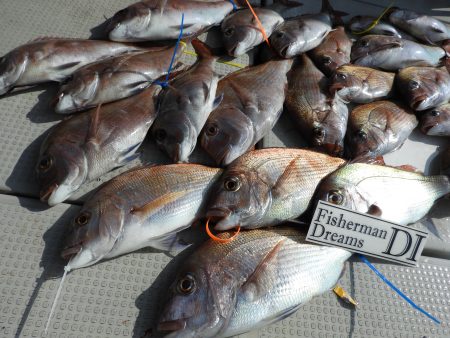 Fisherman Dreams DI 釣果