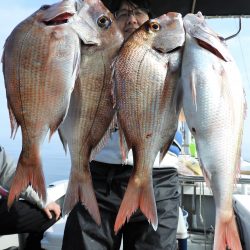 Fisherman Dreams DI 釣果