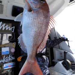 Fisherman Dreams DI 釣果