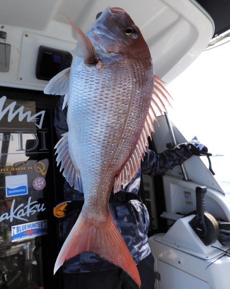 Fisherman Dreams DI 釣果