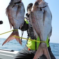 Fisherman Dreams DI 釣果