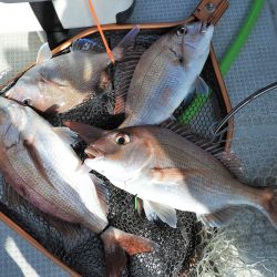 Fisherman Dreams DI 釣果