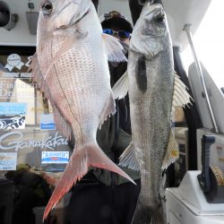 Fisherman Dreams DI 釣果