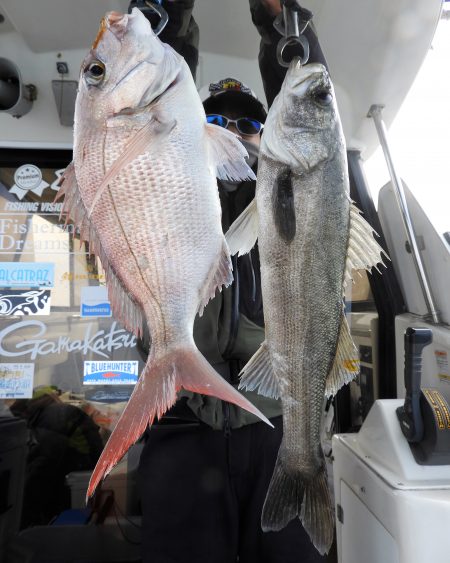 Fisherman Dreams DI 釣果