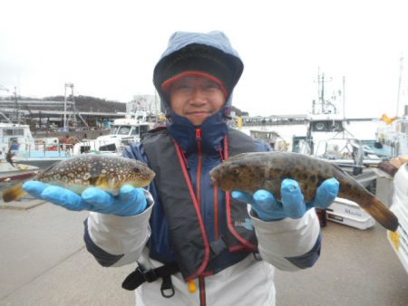 大進丸（愛知） 釣果