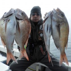 Fisherman Dreams DI 釣果