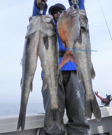 Fisherman Dreams DI 釣果