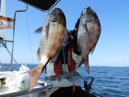 Fisherman Dreams DI 釣果