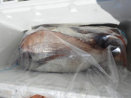 Fisherman Dreams DI 釣果