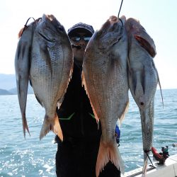 Fisherman Dreams DI 釣果