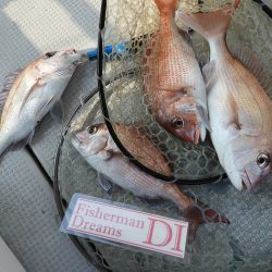 Fisherman Dreams DI 釣果