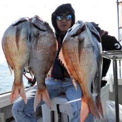 Fisherman Dreams DI 釣果