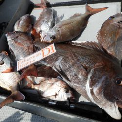 Fisherman Dreams DI 釣果