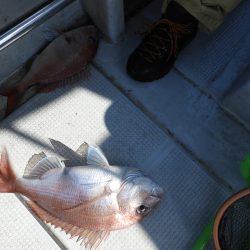 Fisherman Dreams DI 釣果