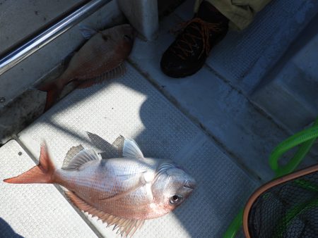 Fisherman Dreams DI 釣果