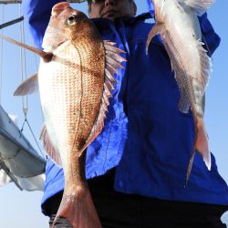 Fisherman Dreams DI 釣果