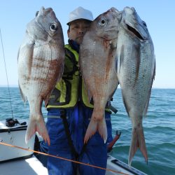 Fisherman Dreams DI 釣果