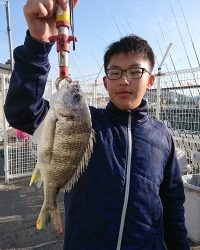 和歌山マリーナシティ釣り公園 釣果