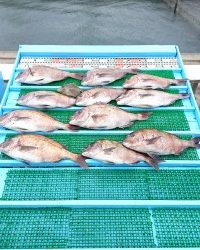 和歌山マリーナシティ釣り堀 釣果