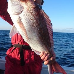 海皇丸 釣果