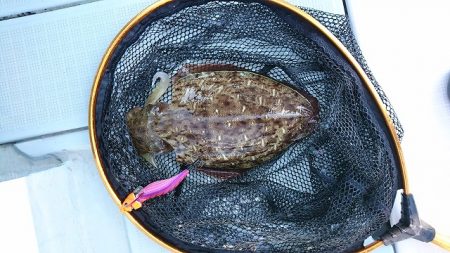 フィッシングボートACE(エース) 釣果