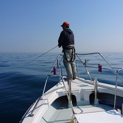 フィッシングボートACE(エース) 釣果