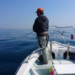 フィッシングボートACE(エース) 釣果