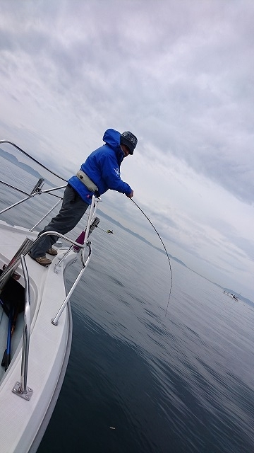 フィッシングボートACE(エース) 釣果