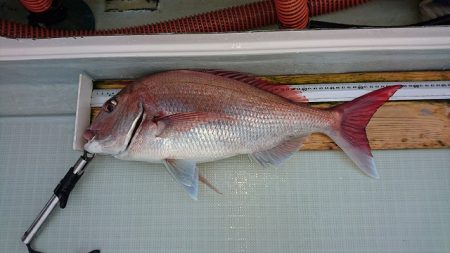 フィッシングボートACE（エース） 釣果