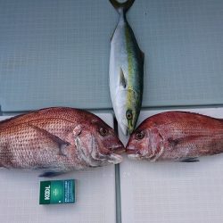 フィッシングボートACE(エース) 釣果