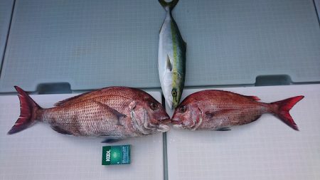 フィッシングボートACE(エース) 釣果