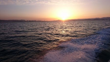 フィッシングボートACE(エース) 釣果