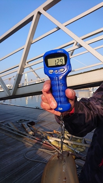 フィッシングボートACE(エース) 釣果