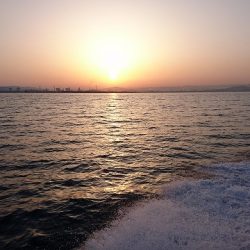 フィッシングボートACE（エース） 釣果