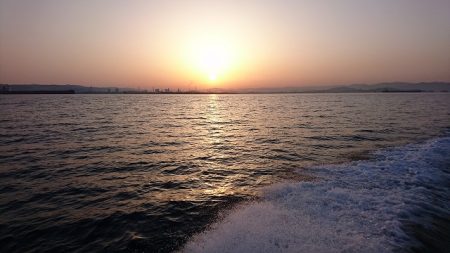 フィッシングボートACE（エース） 釣果