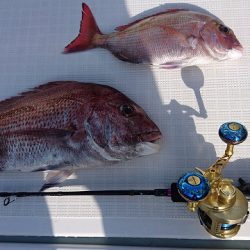 フィッシングボートACE（エース） 釣果