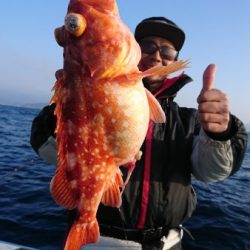 シードリーム 釣果