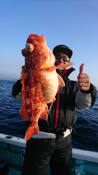 シードリーム 釣果